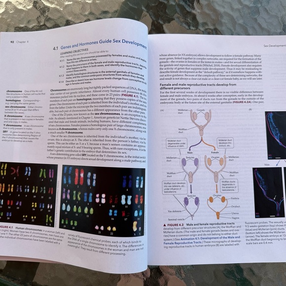Discovering Human Sexuality fifth edition- used condition - Picture 6 of 10